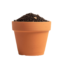Potting Soil & Mix