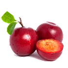 Apricot & Plums