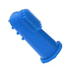 Baby Oral Care