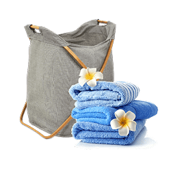 Bath & Laundry