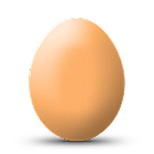 Brown Eggs