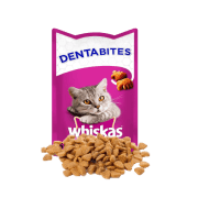 Cat Treats