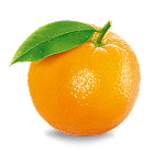 Citrus Fruits