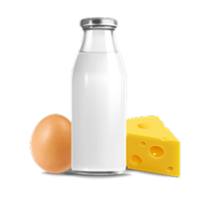 Dairy - Egg & Cheese Shopping