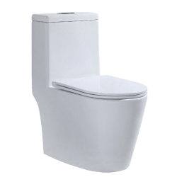 Floor Mounted WC
