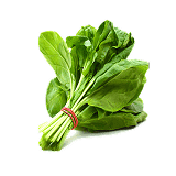 Fresh Herbs