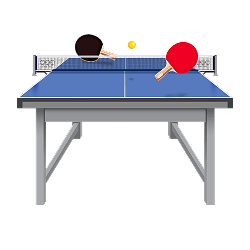 Ping Pong Table