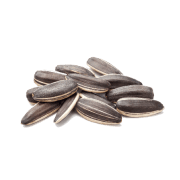 Seeds