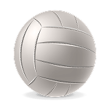 Volleyballs