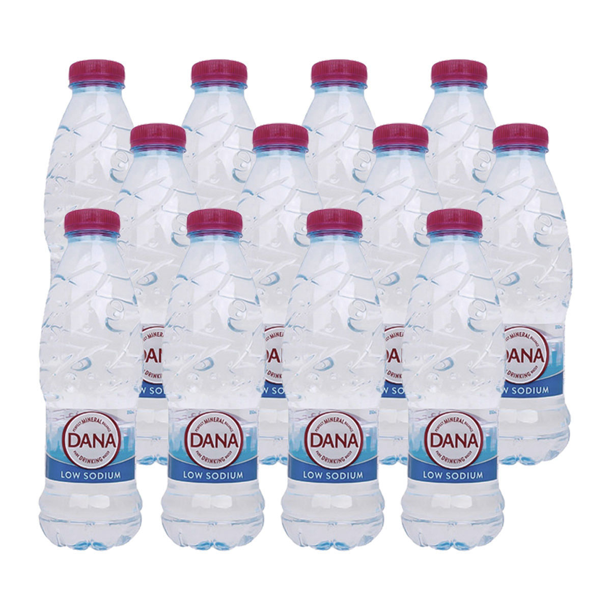 Dana Balanced Mineral Water 12x500ml