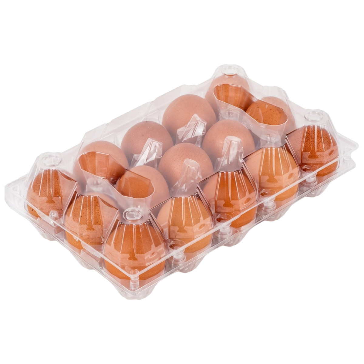 Nest Fresh Premium Brown Egg Large 15 pcs