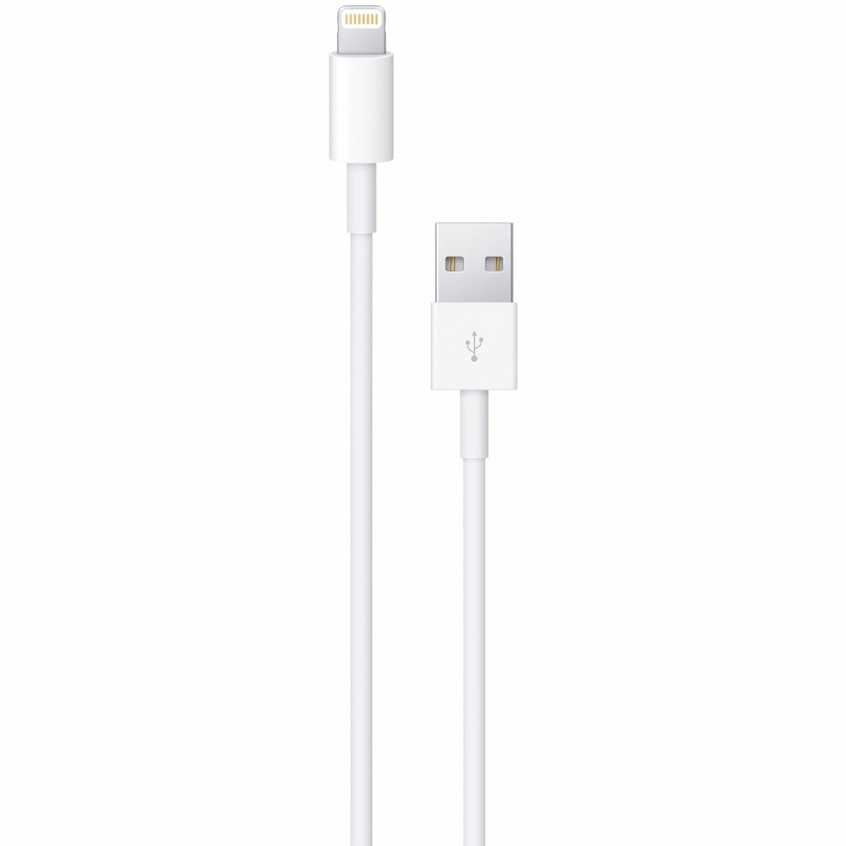 Apple Lightning To USB Cable 1M