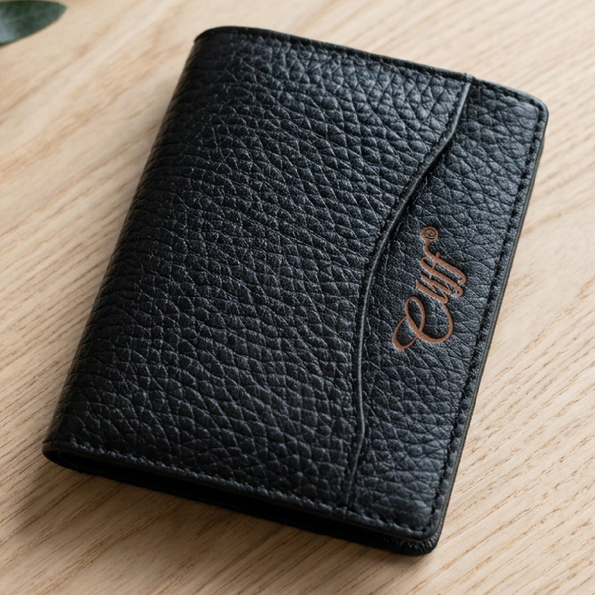Cliff Card Holder Assorted Color