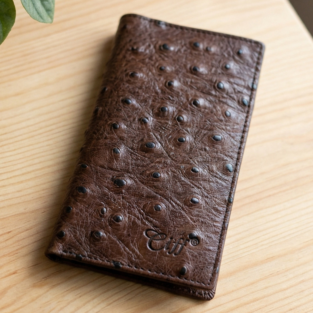 Cliff Card Holder Assorted Color