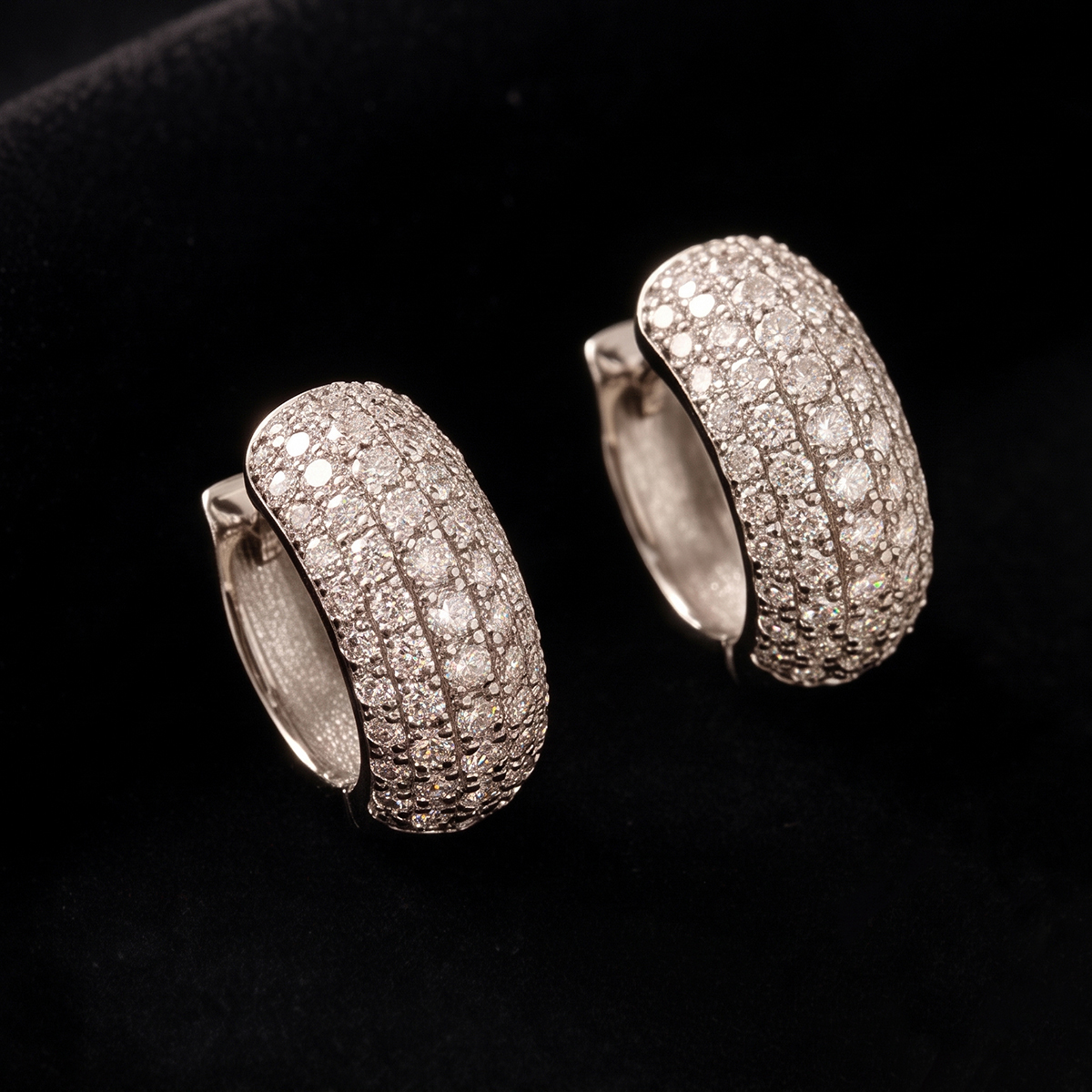 Ladies Earrings