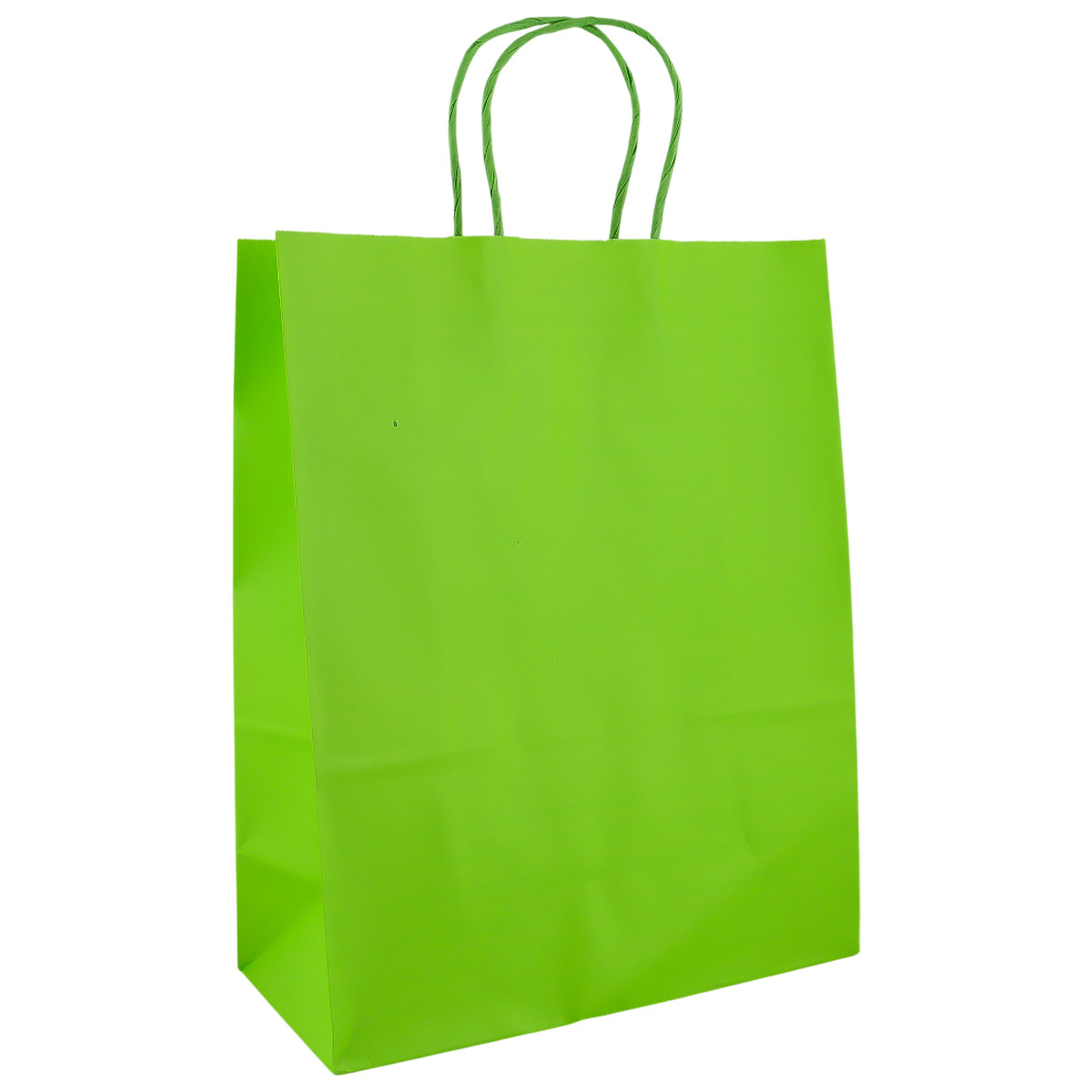 Paper Gift Bag