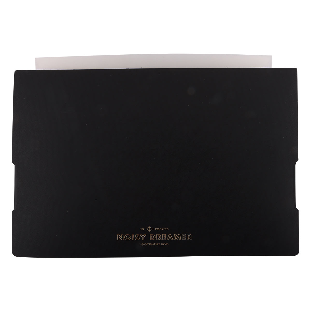 Expandable File Folder