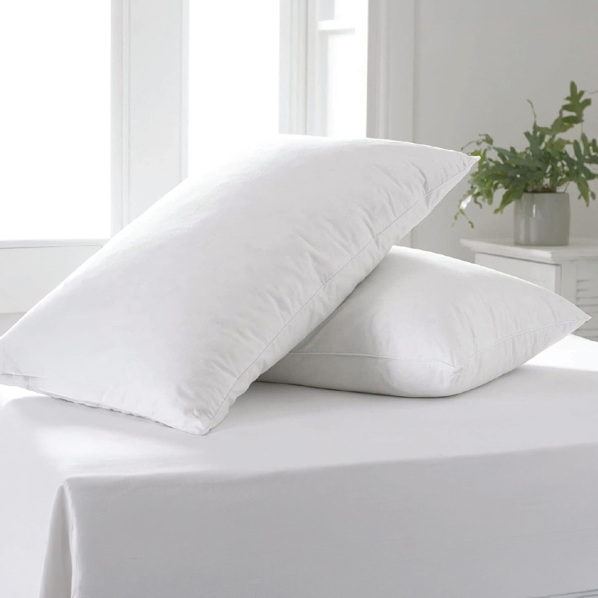 Luxury Pillow White 1 Piece Assorted 50x70cm