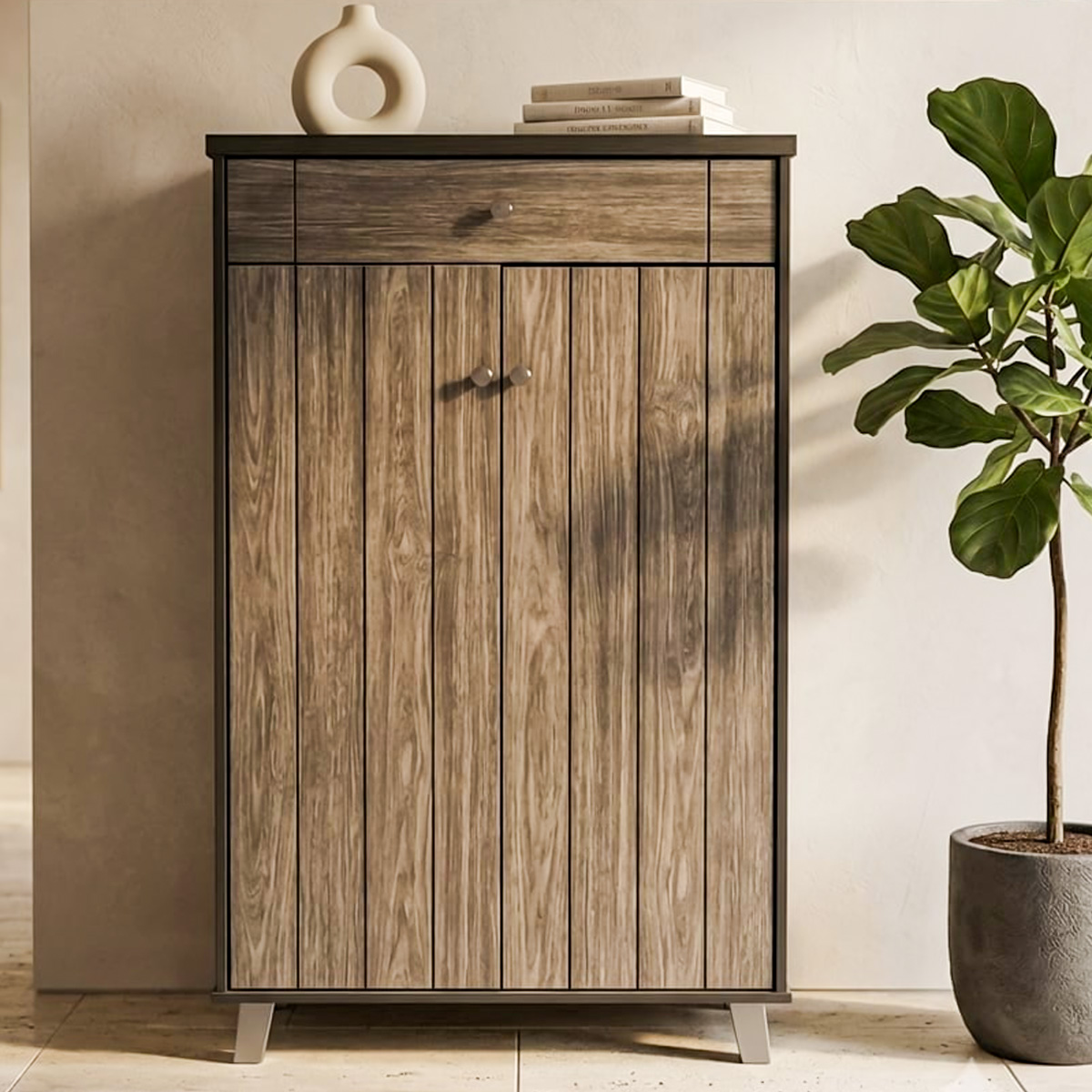 Storage Shoe Cabinet