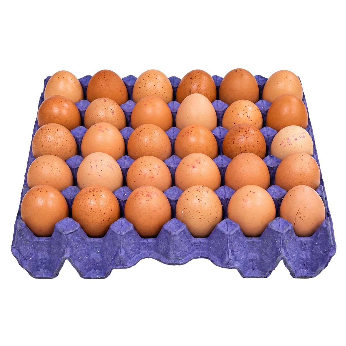Brown Egg Turkey 30 Pieces