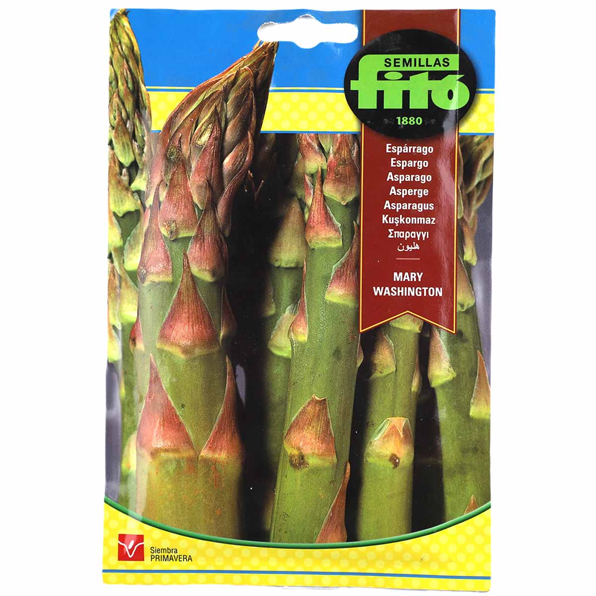 Fito Asparagus Mary Washington