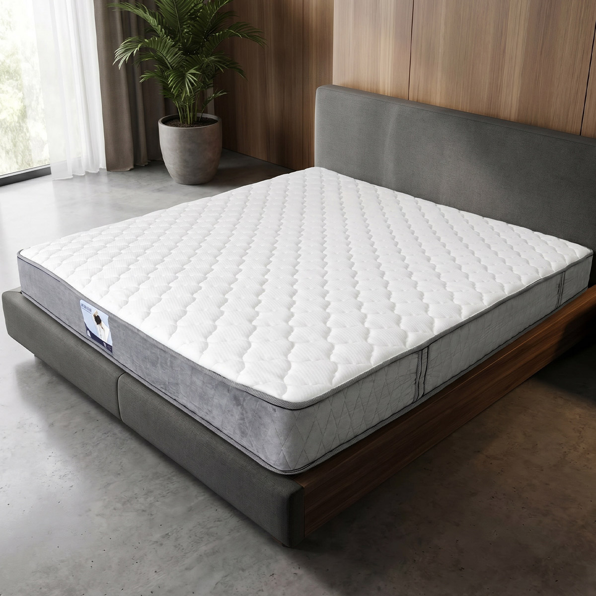 Splendor Mattress 20cm