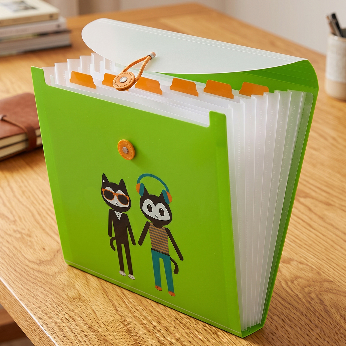 Cat Themed Expanding File With Button