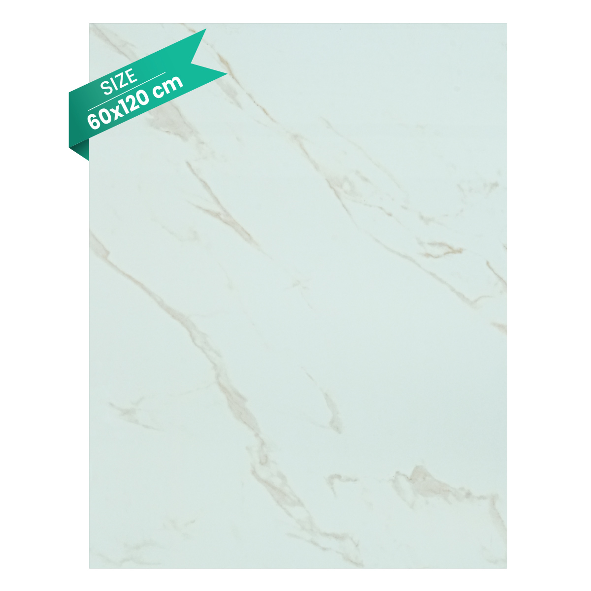 Procelin Tile 60x120cm (3 Pieces And 2.16 Sq.Mtr Per Box)