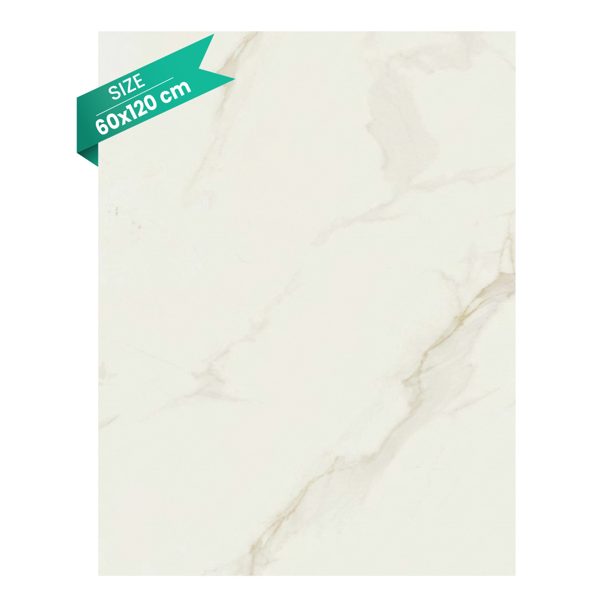 Porceline Tile 60X120cm (3 Pieces And 2.16 Sq.Meter Per Box)