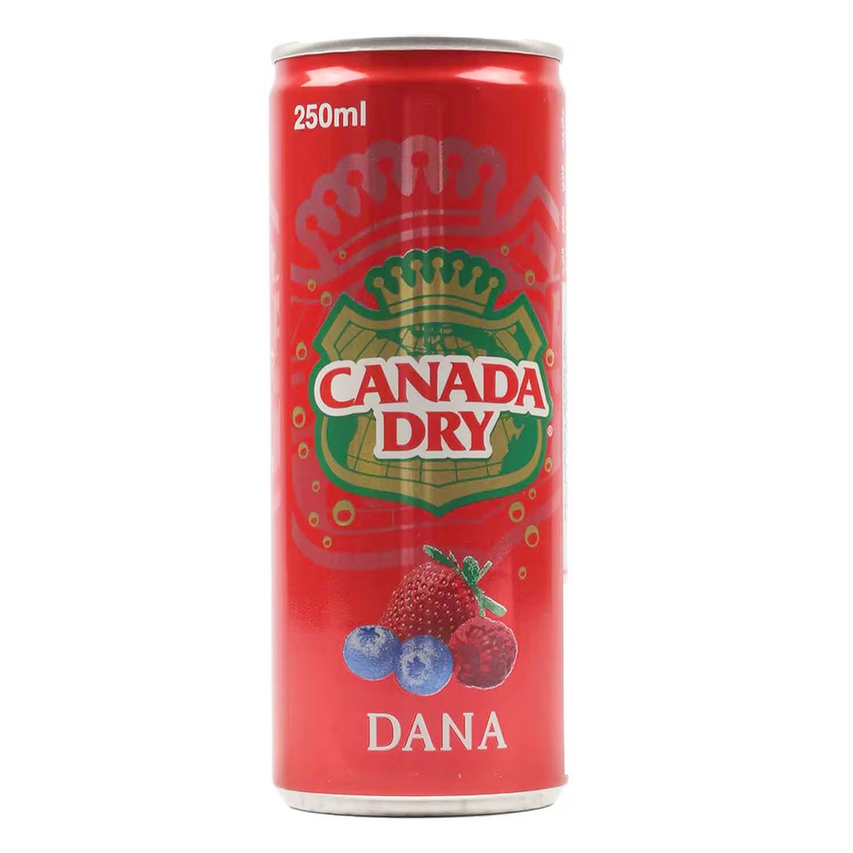 Canada Dry Dana 250ml