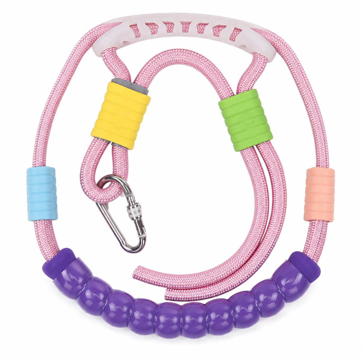 Braided Dog Leash