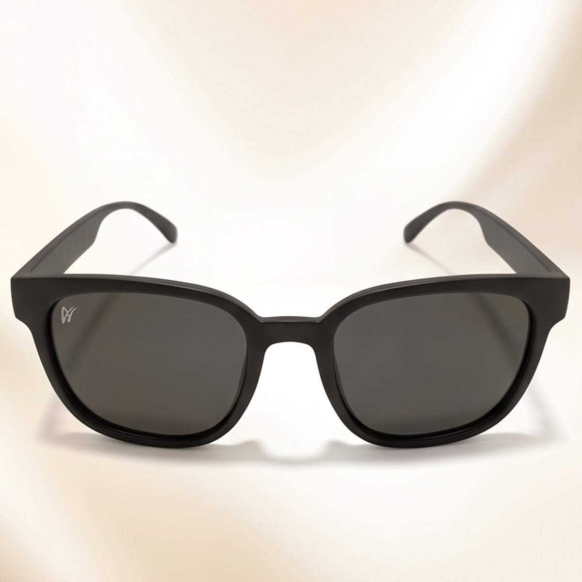 Mens Sunglasses
