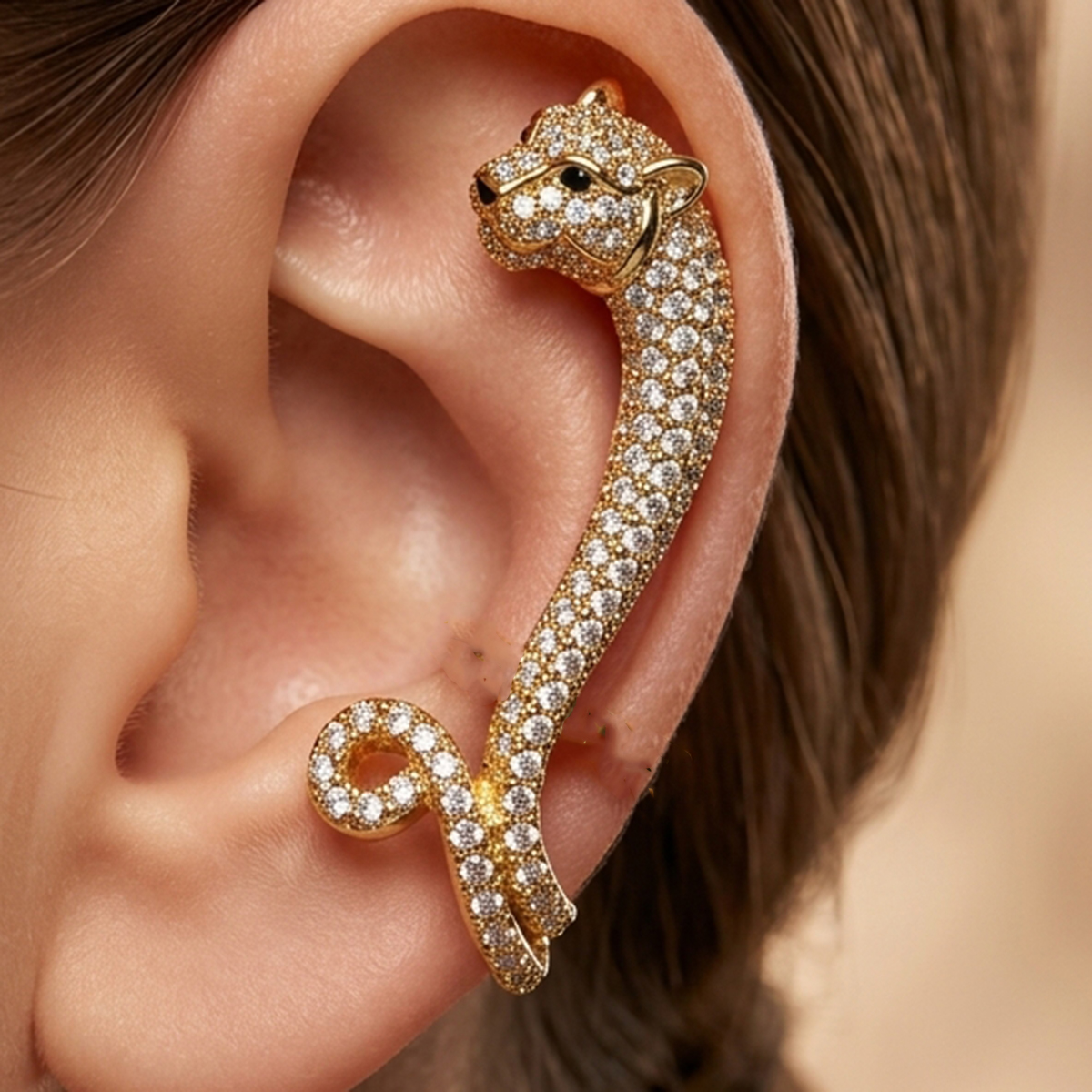 Ladies Earring