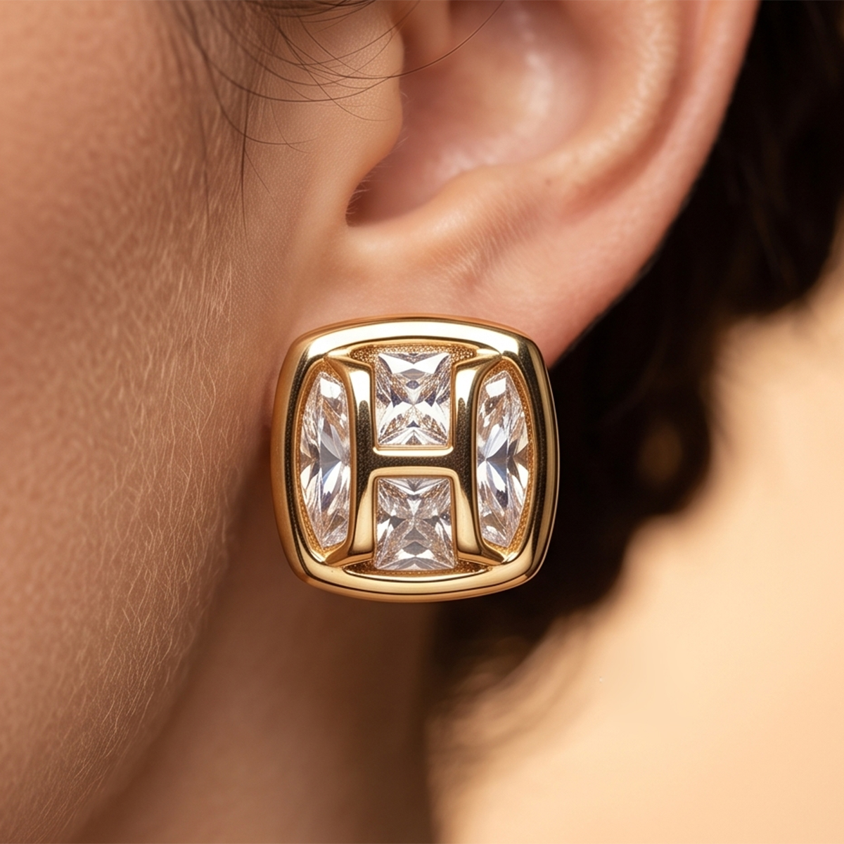 Ladies Earrings