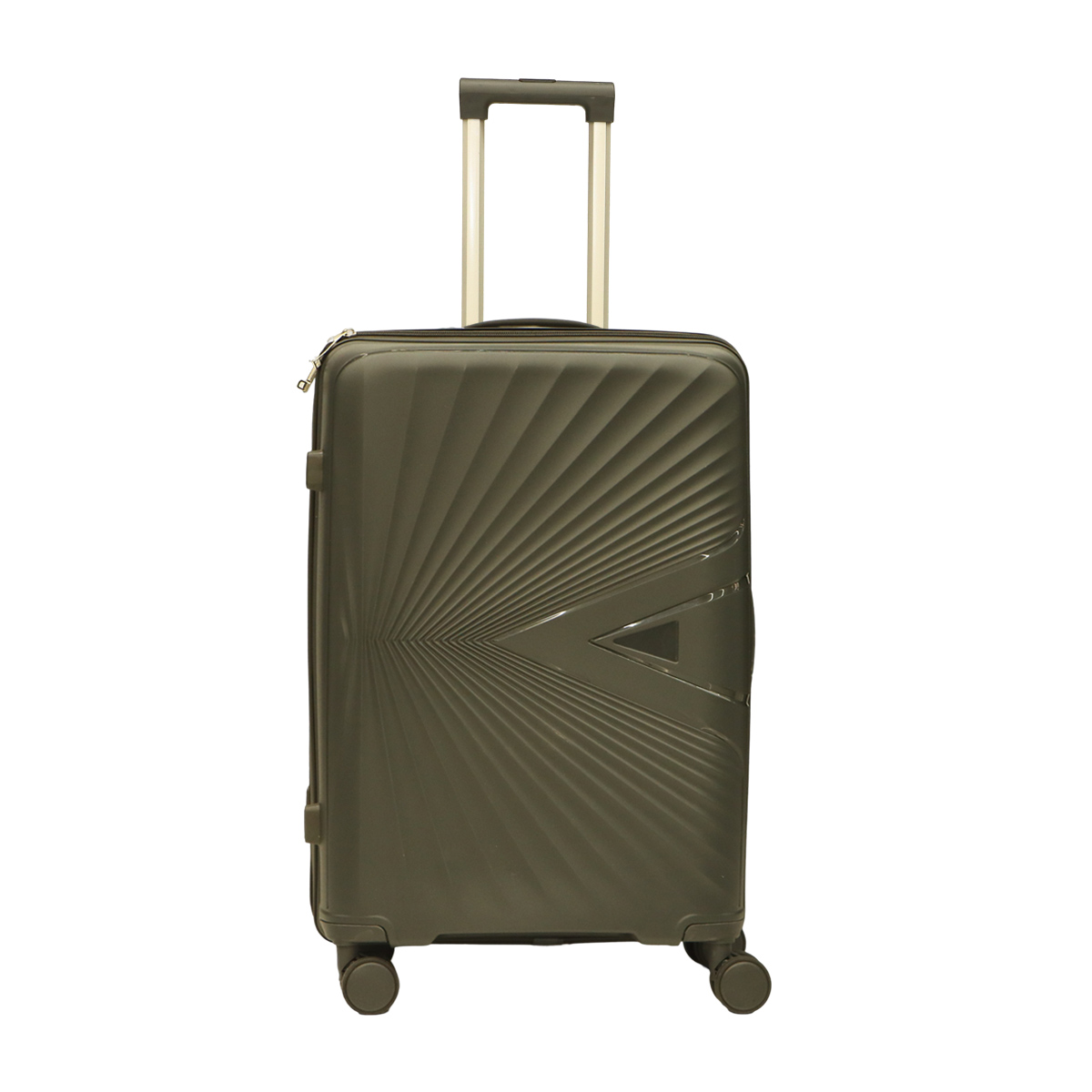 Trolley Bag Hard Plain 24 Inch