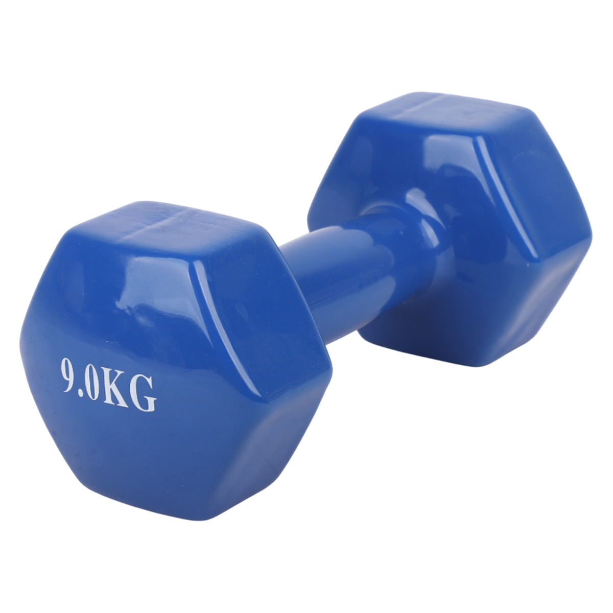Blue Vinyl Coated Dumbbell 9Kg