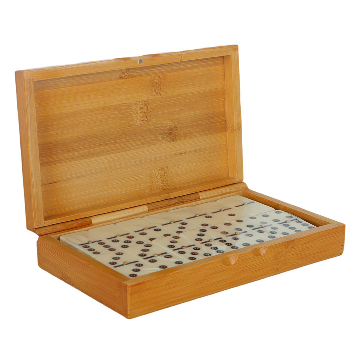 Double Six Dominoes Set
