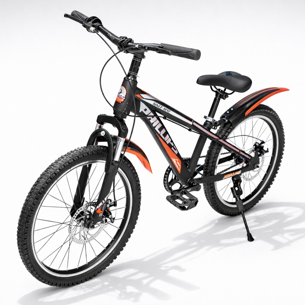 Bicycle 20 Inch