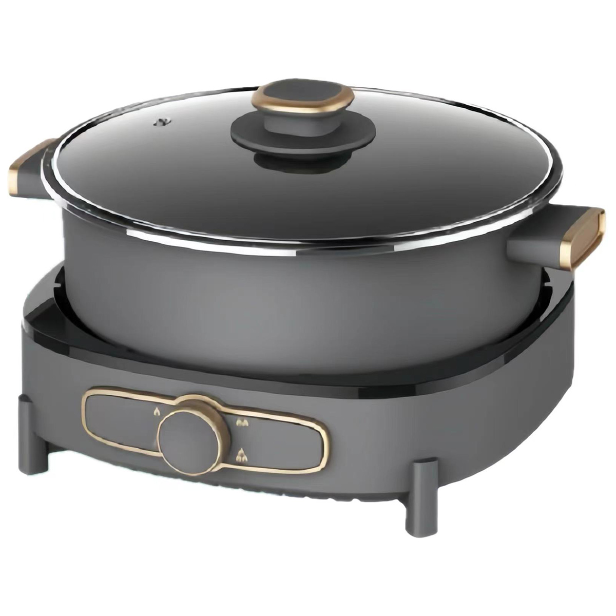 Tiffany Electric Pot TF-6502
