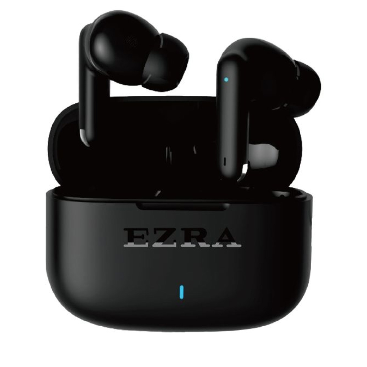 Wireless Earbuds