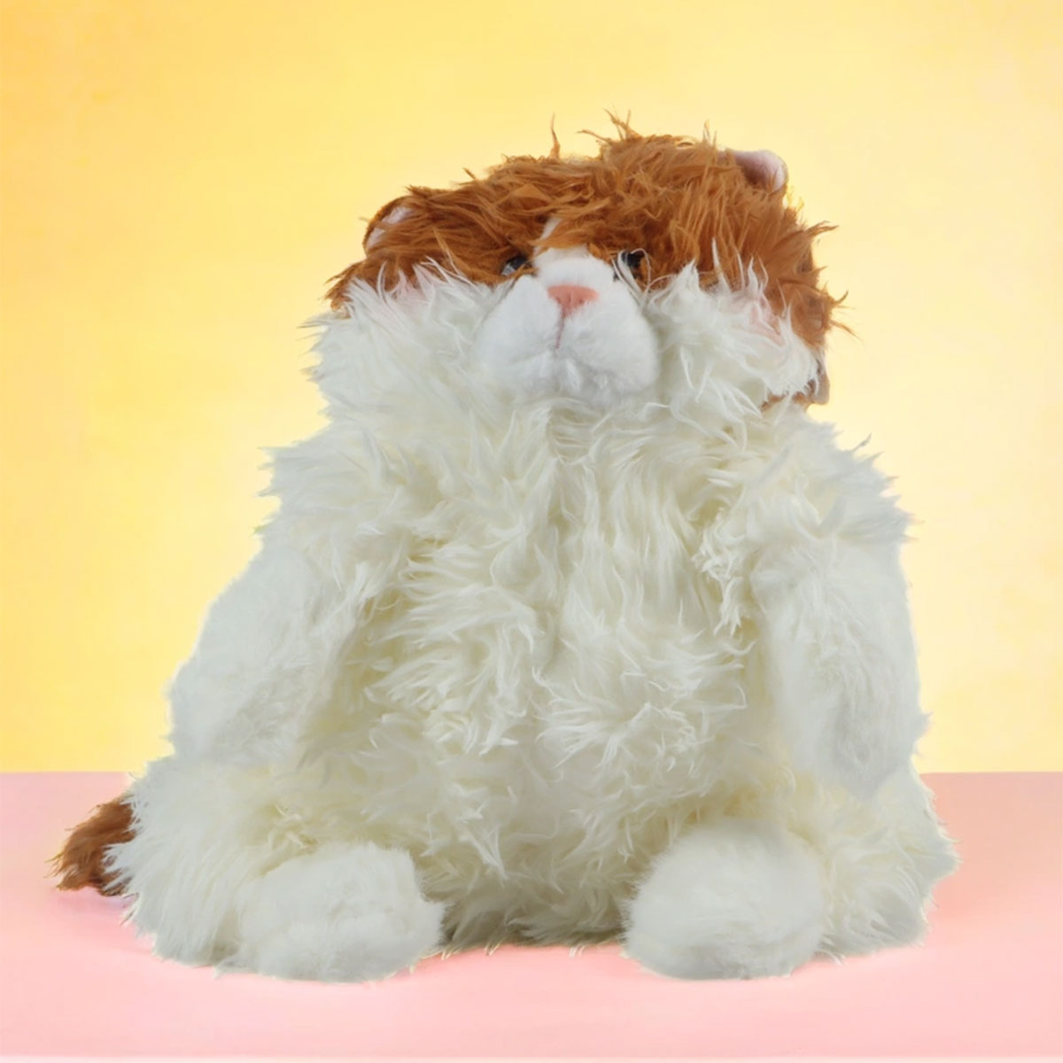 Soft Cat