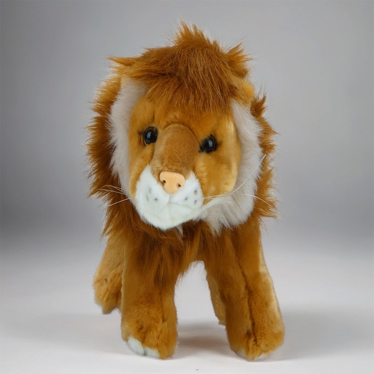 Soft Lion