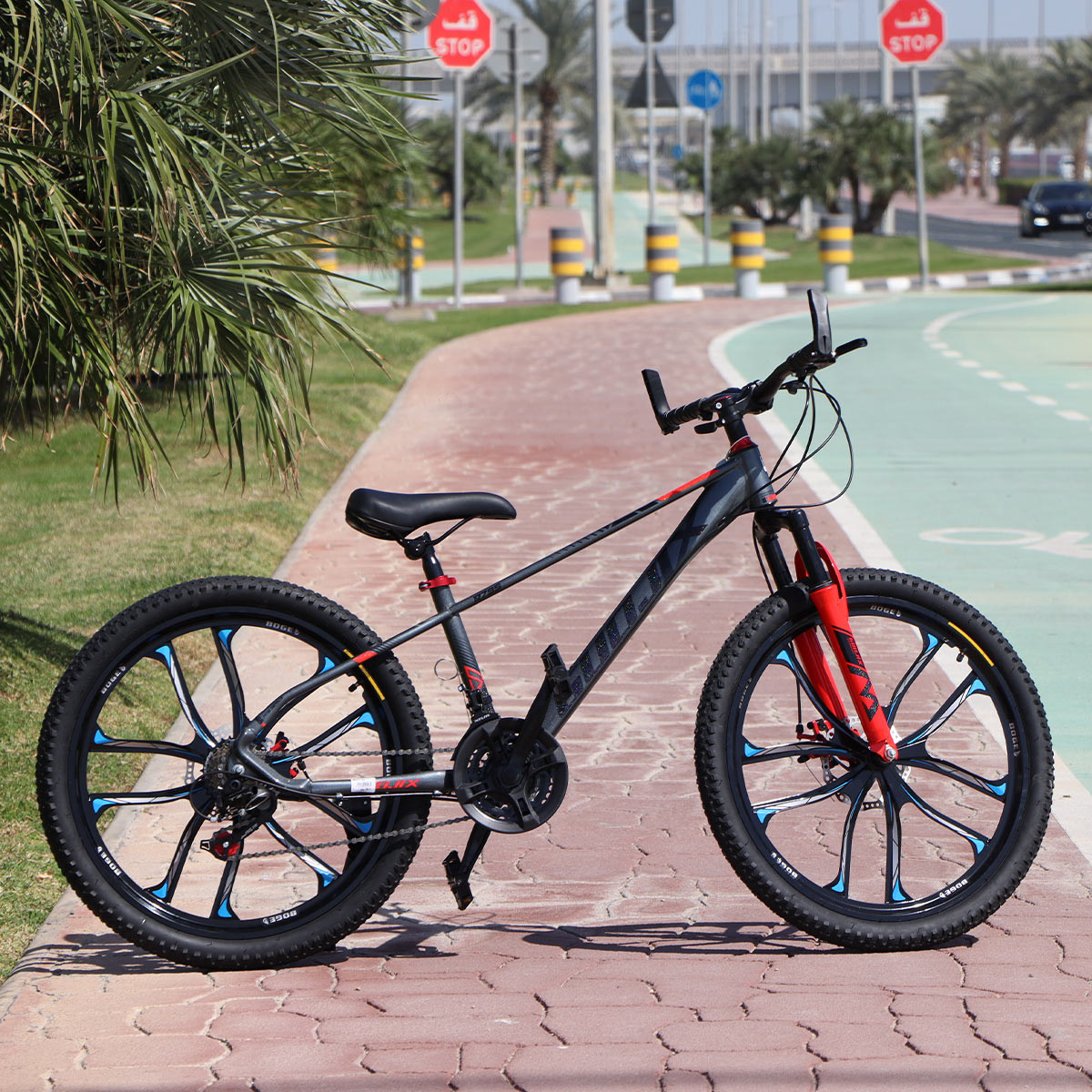 Bicycle 24 Inch Assorted