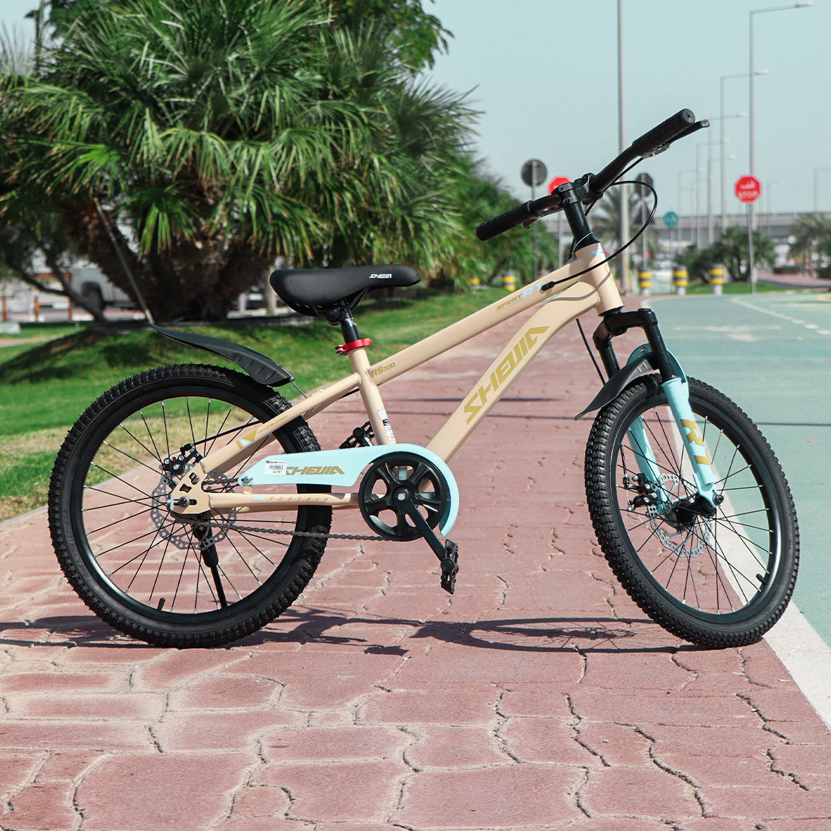 Bicycle 20 Inch 