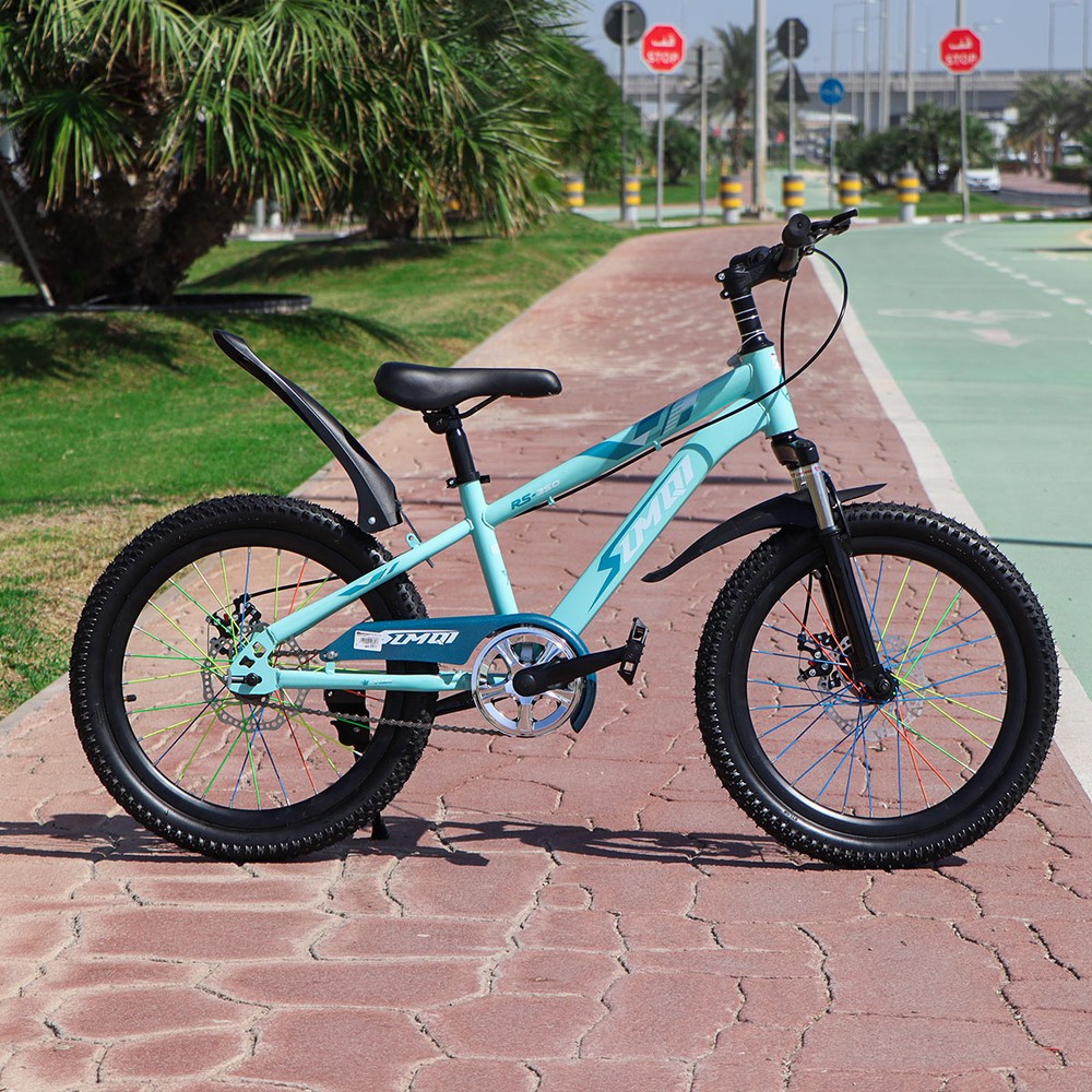Bicycle 20 Inch Assorted