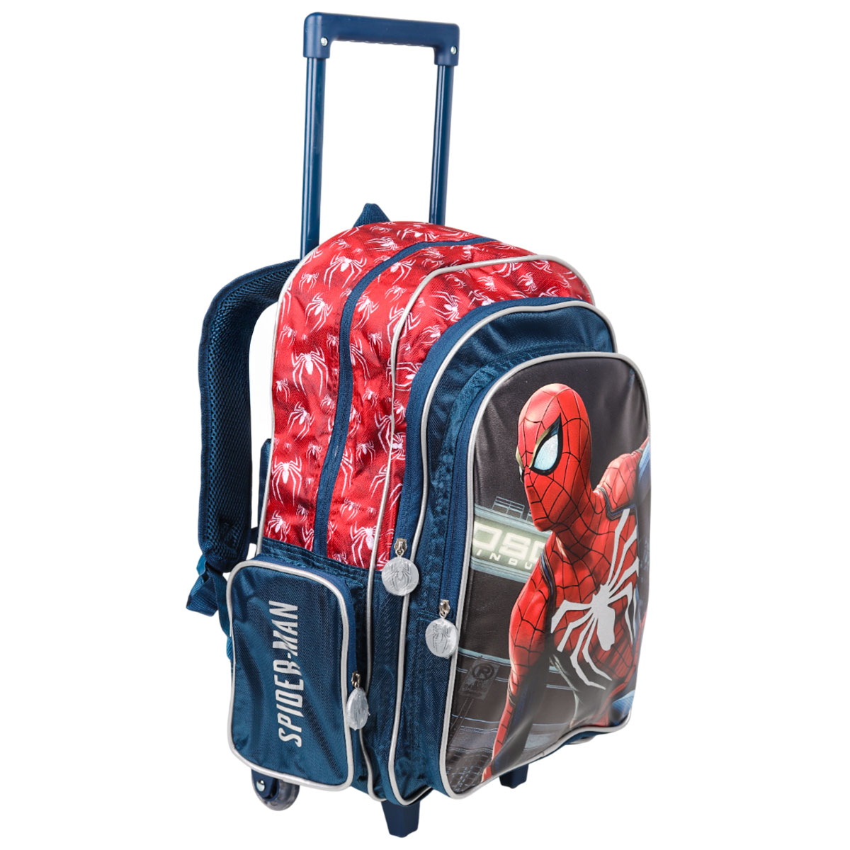 Printed Backpack & Trolley Bag For Boys