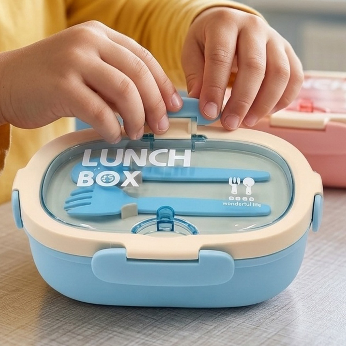 Lunch Box Plastic 1 Piece Assorted