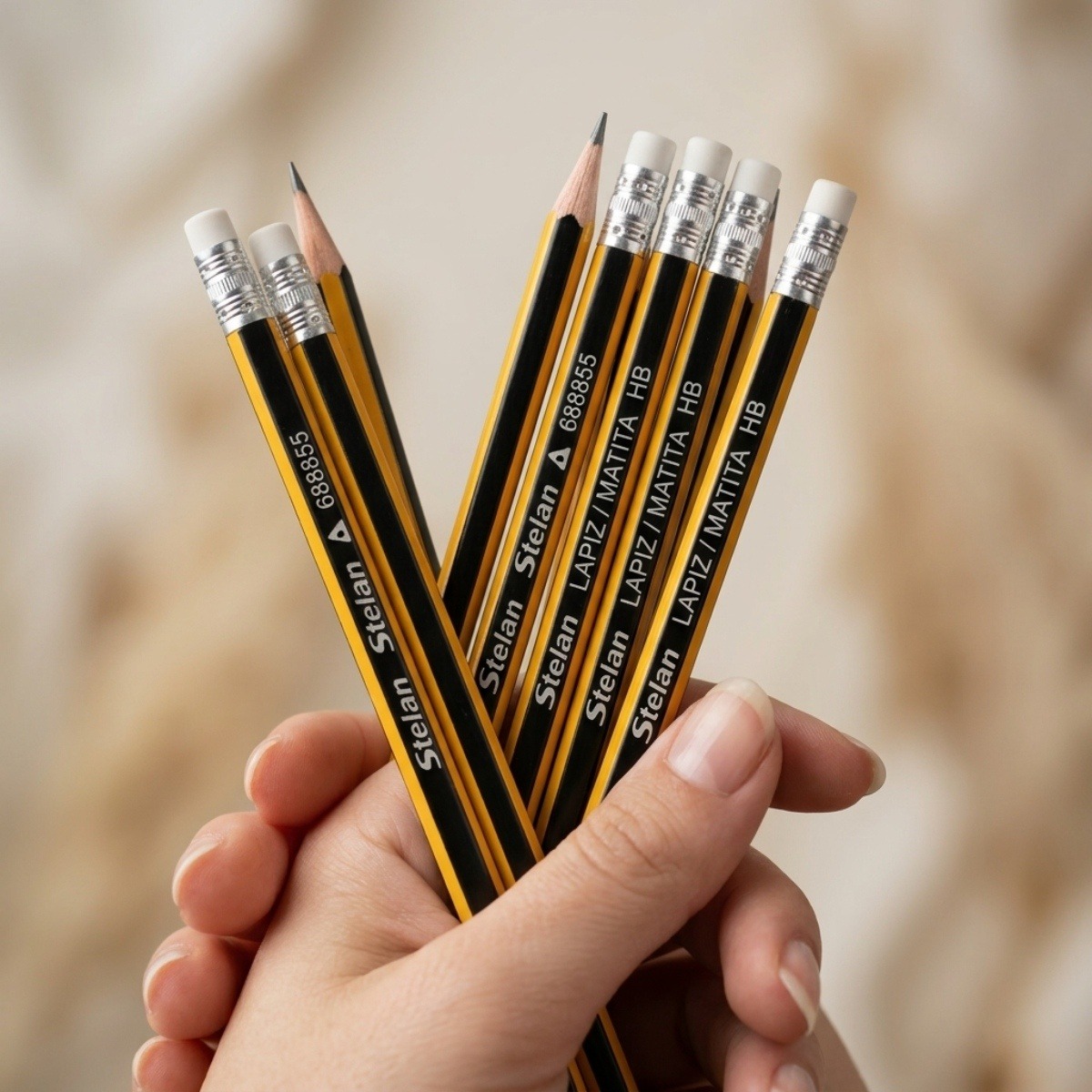 Stelan HB Pencils 12pcs