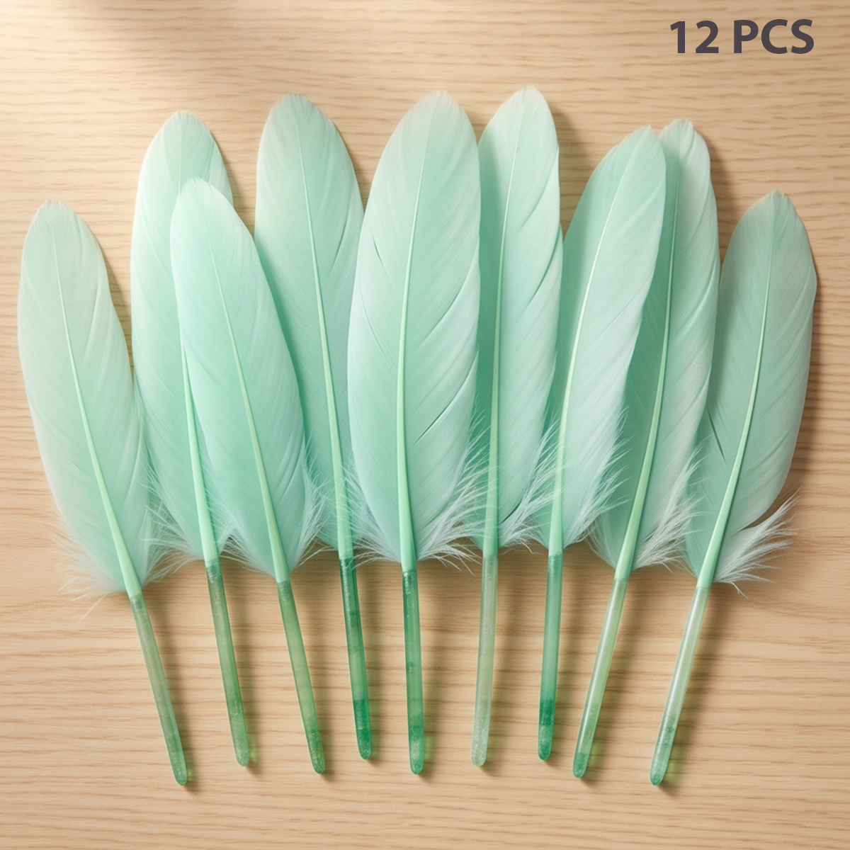 Arts & Crafts Feathers