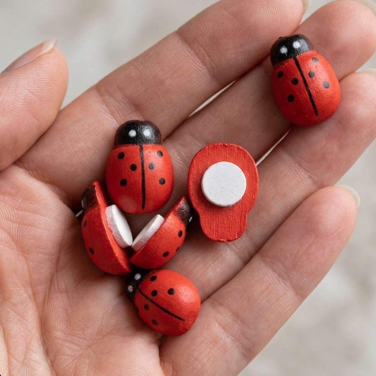 Foskola Arts & Crafts Ladybug Red Decorations